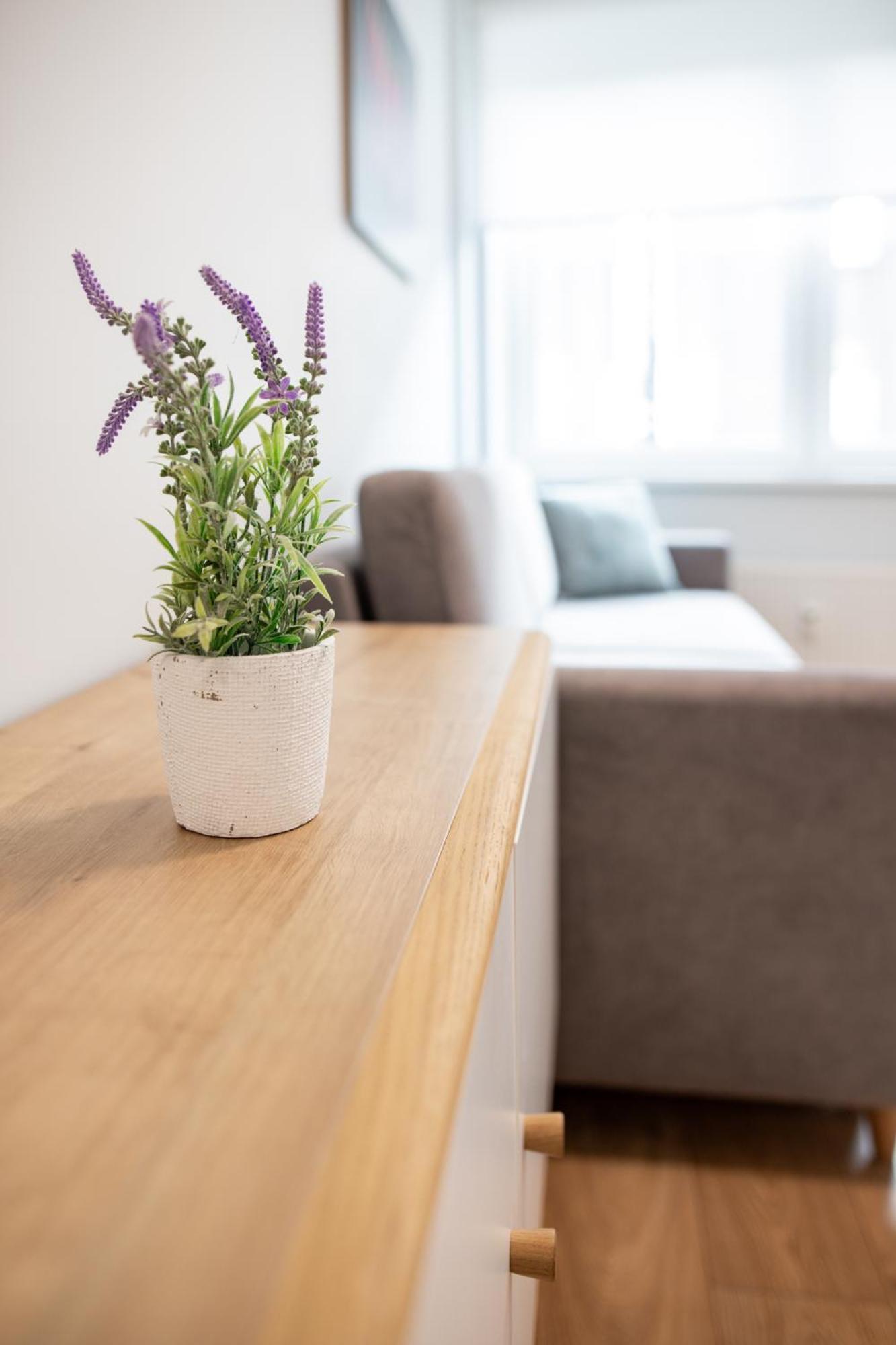 Pepleri Studio 39 Tartu Extérieur photo
